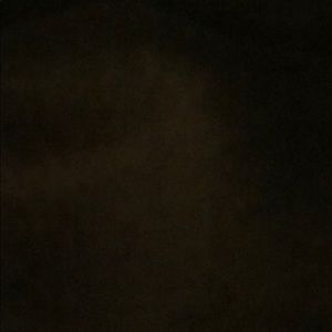 Meet your Posher, Doris